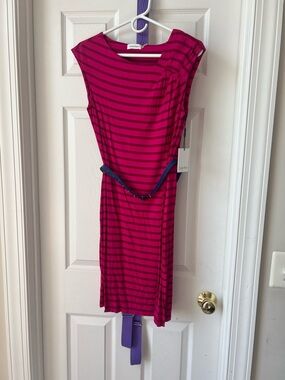 Calvin Klein Hot Pink / Fuchsia Striped Midi Sheath Dress